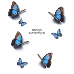 Darcy Butterfly’s!