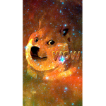The all mighty doge’s