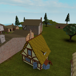 Village Life