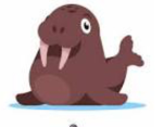 T3AM WALRUS