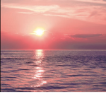 <~Seashell~>