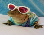 Chicken beef aligator