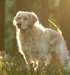 All pet owners should love there pets. Enjoy!!!!!!