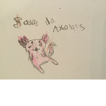 Save the cutest a x o l o t l s
