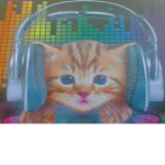THE DJ KITTENS