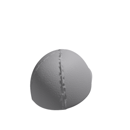 roblox zipzorp b hat