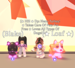 Adopt me fun and trading