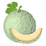 The Cantaloupe_dad official group