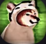 Doge cat city
