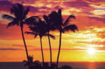 •Sunrise gaming•