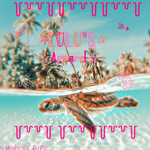 ʚɞ Lulu's apparel ʚɞ