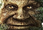 TREE_KingDom