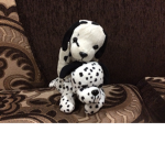Dog and Cute Puppy