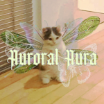 auroral aura || clothing<3