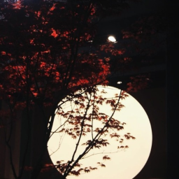 ｡୭ৎ °