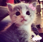 PRETTY TEAAM