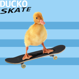 🦆Ducko Skate[BETA] Pool Update