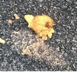 Dead Potato Studio