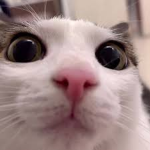 Stewart :)