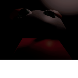 run.