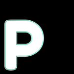 Pearl palms studios