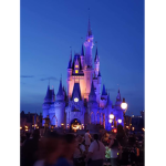disney world rock