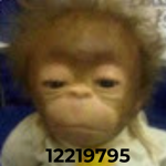 DaHoodMonkeys