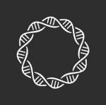 Allele