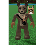 flopps and cats