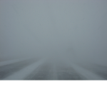 Arctic #######