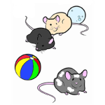 ##### pets ######