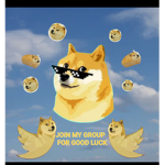 The cool Doge Team