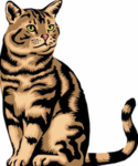 Cat_xGame