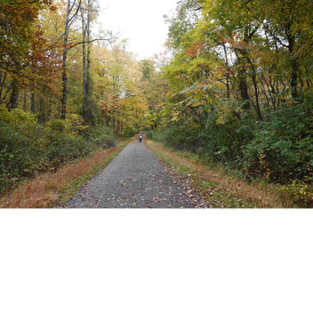 survive zombies the Killer