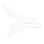Shaani airlines