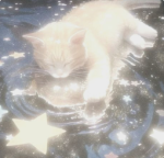 puppym’s avatar ranking (강아지)
