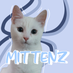 _MITTENZ