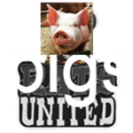 Pigs Unitedd!