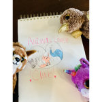 Animals loving club