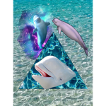 BelugaGang