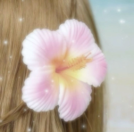 aukii