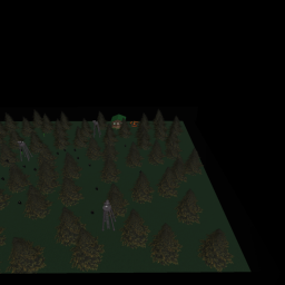 The Forest
