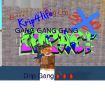 -Drip Gang-