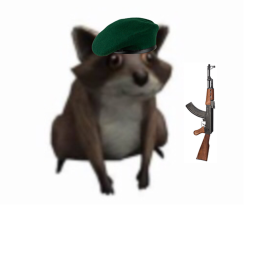 Raccoon training! (become a raccoon soldier)