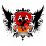 royal assasin assault team