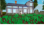 Plasma Stonez