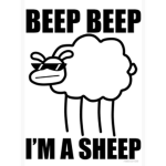BEEP BEEP I’M A SHEEP GANG