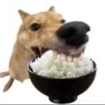 mama_mo