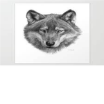 caped wolf
