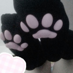 ⋆˚🐾˖°